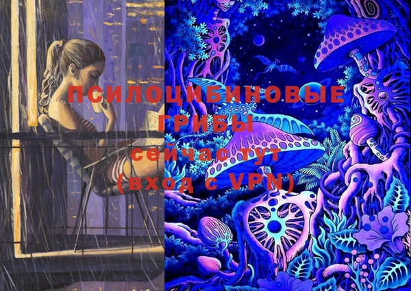 мяу мяу мука Алзамай