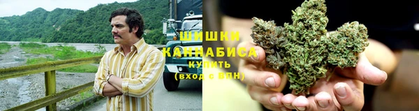 дурь Алексеевка