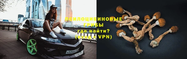 мяу мяу мука Алзамай