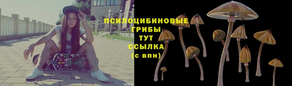 мяу мяу мука Алзамай