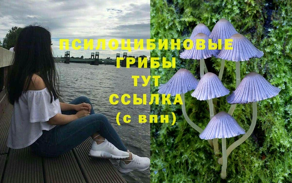 дурь Алексеевка