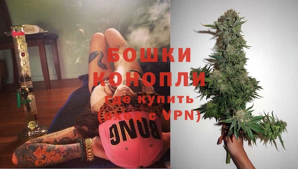 дурь Алексеевка