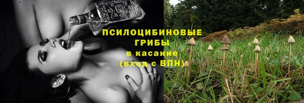 дурь Алексеевка