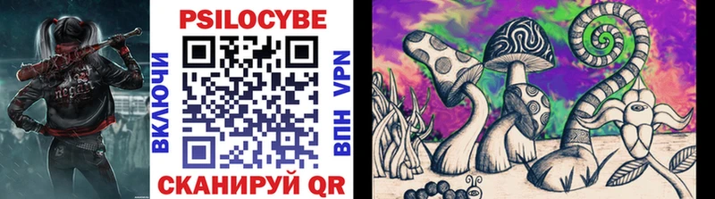 Псилоцибиновые грибы Cubensis Данков